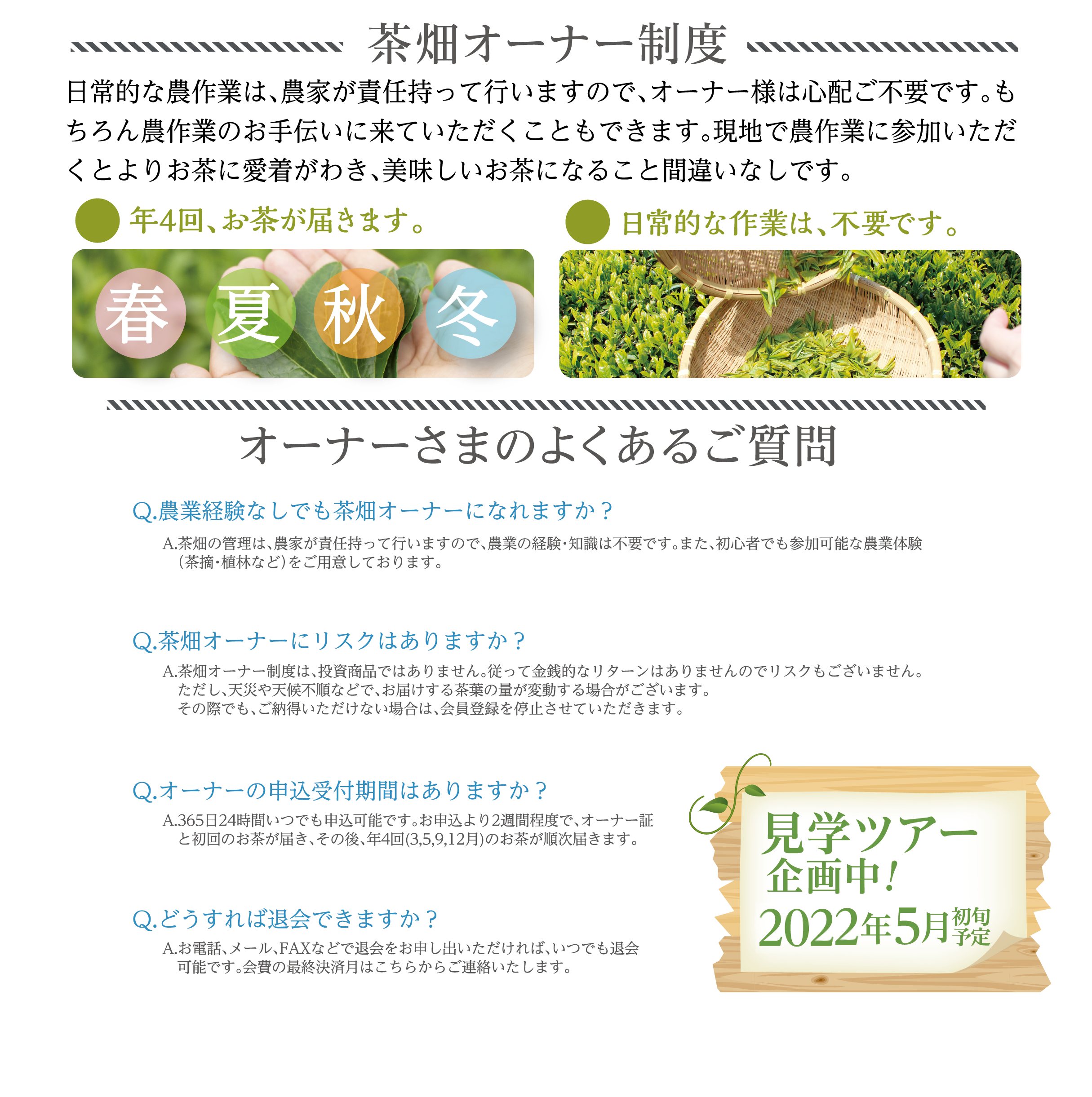 茶畑の管理は、農家が責任を持って行います。また、初心者の方もご参加いただける農業体験もご用意しております。詳細はお気軽にお問合せください。
